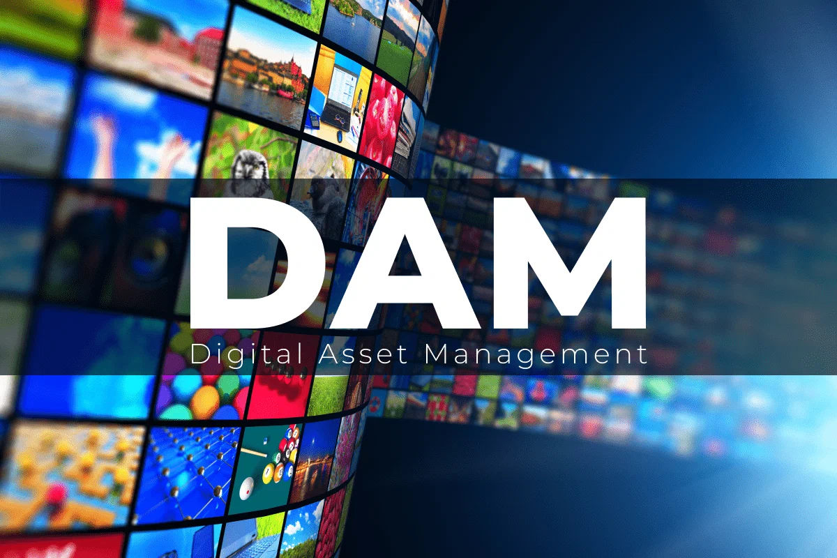 Digital asset management system organizing film and video files 